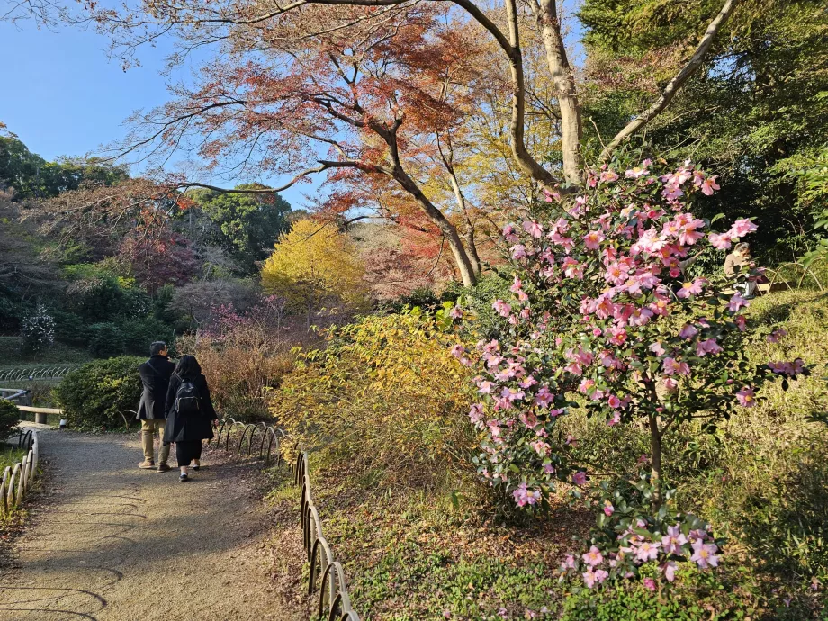 Свердловина Кійомаса