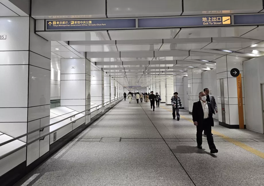 Подорож від станції Сіндзюку до будівлі столичного уряду Токіо