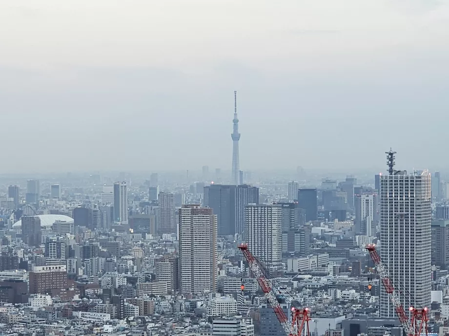 Будівля столичного уряду Токіо