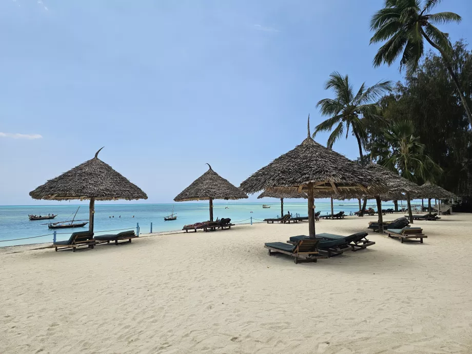 Шезлонги та парасольки