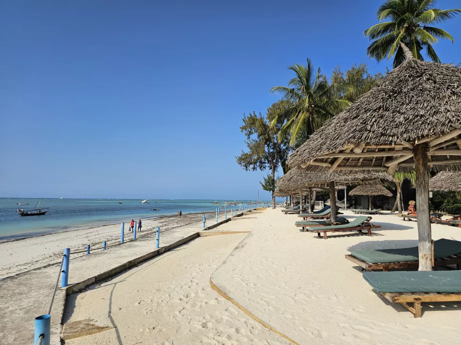 Шезлонги та парасольки