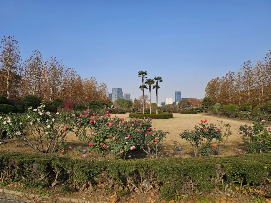 Національний сад Сіндзюку Гьон