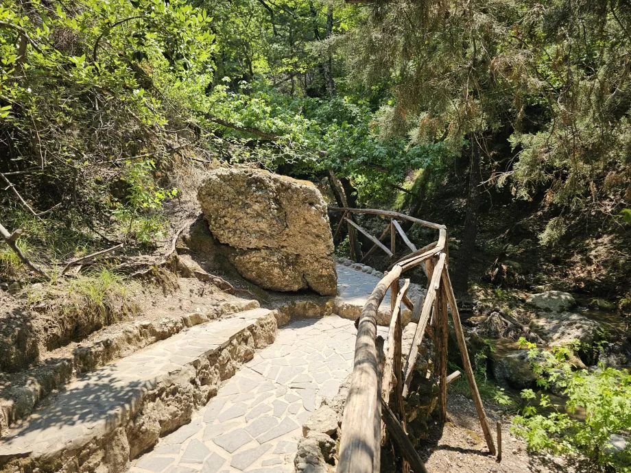 Долина метеликів