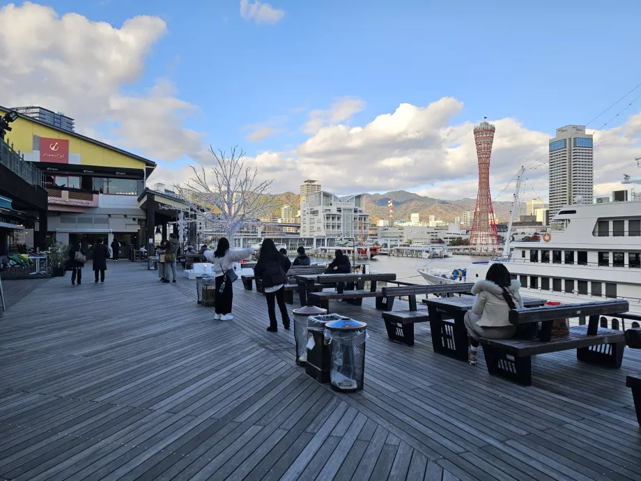 Харборленд