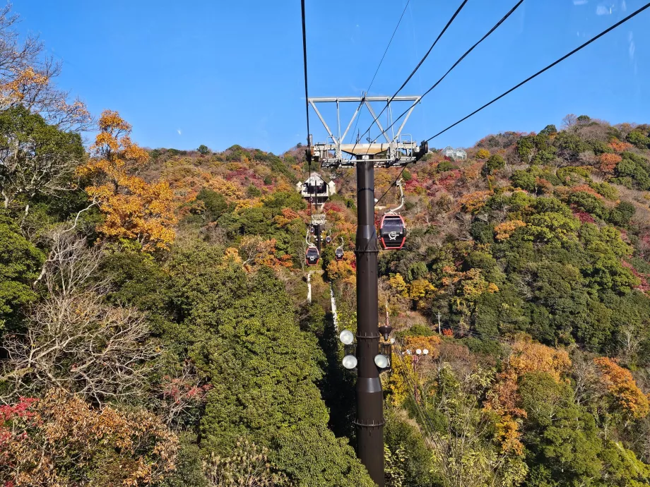 Вид з канатної дороги