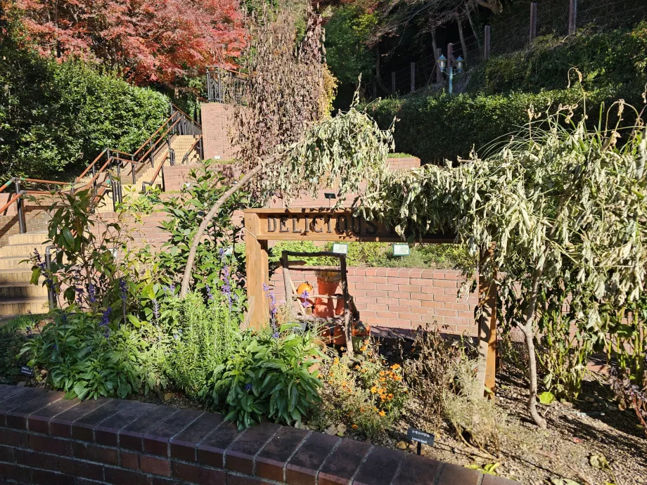 Трав'яні сади Нунобікі