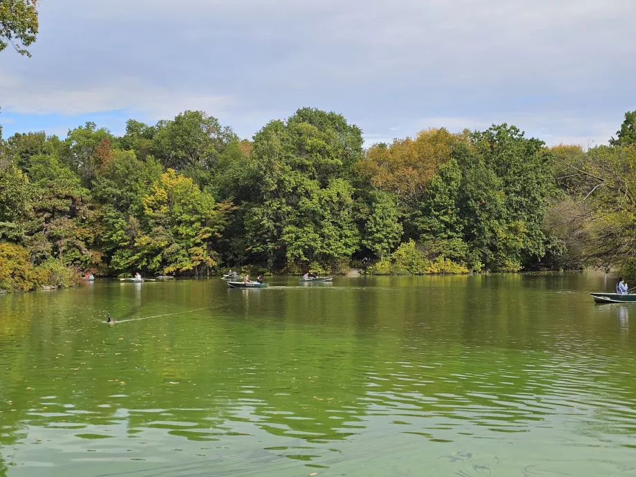 Озеро в Центральному парку