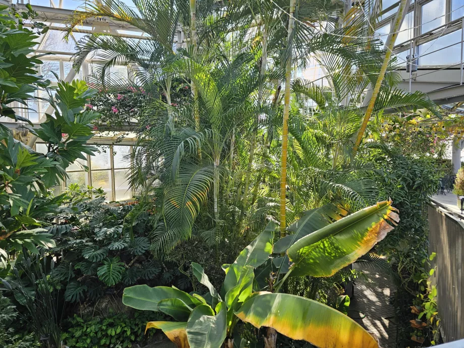 Теплиця в Nunobiki Herb Gardens