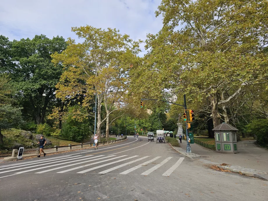 Центральний парк