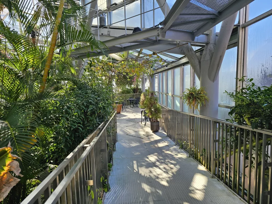 Теплиця в Nunobiki Herb Gardens