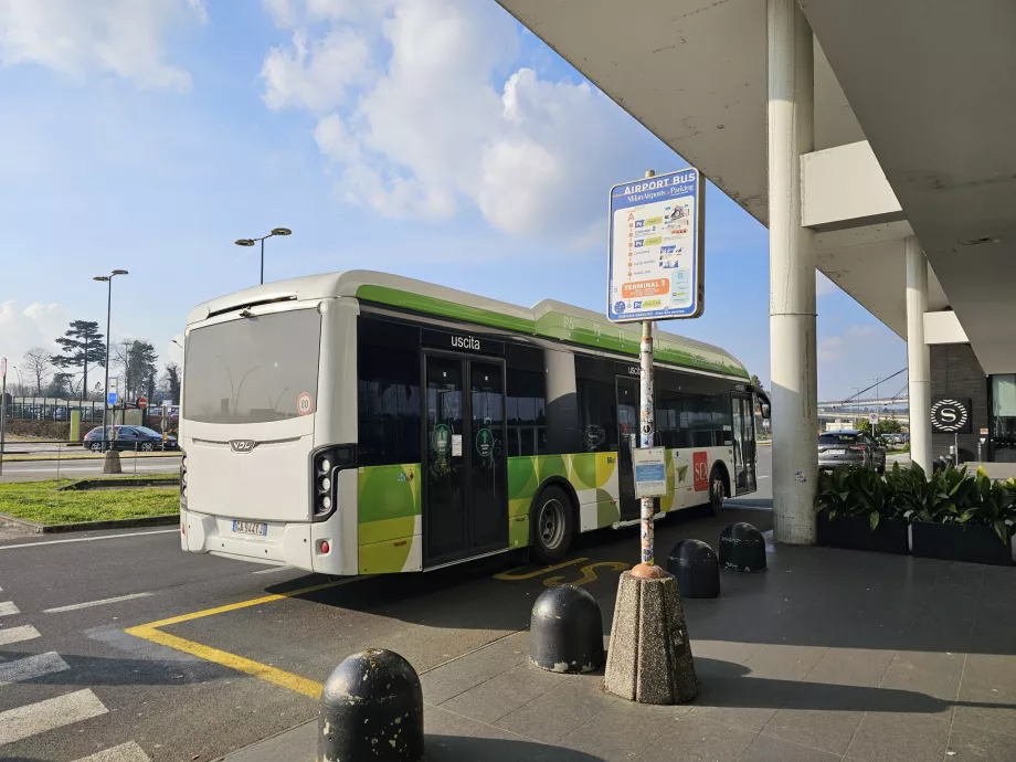 Зупинка безкоштовного автобуса біля Терміналу 1