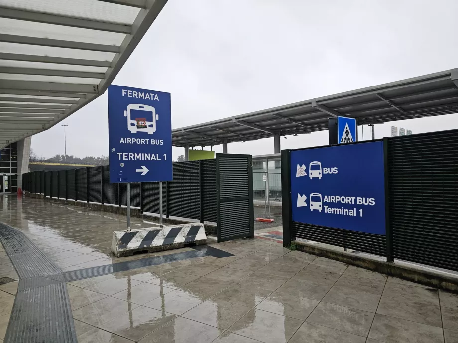 Зупинка маршрутного автобуса на Терміналі 2