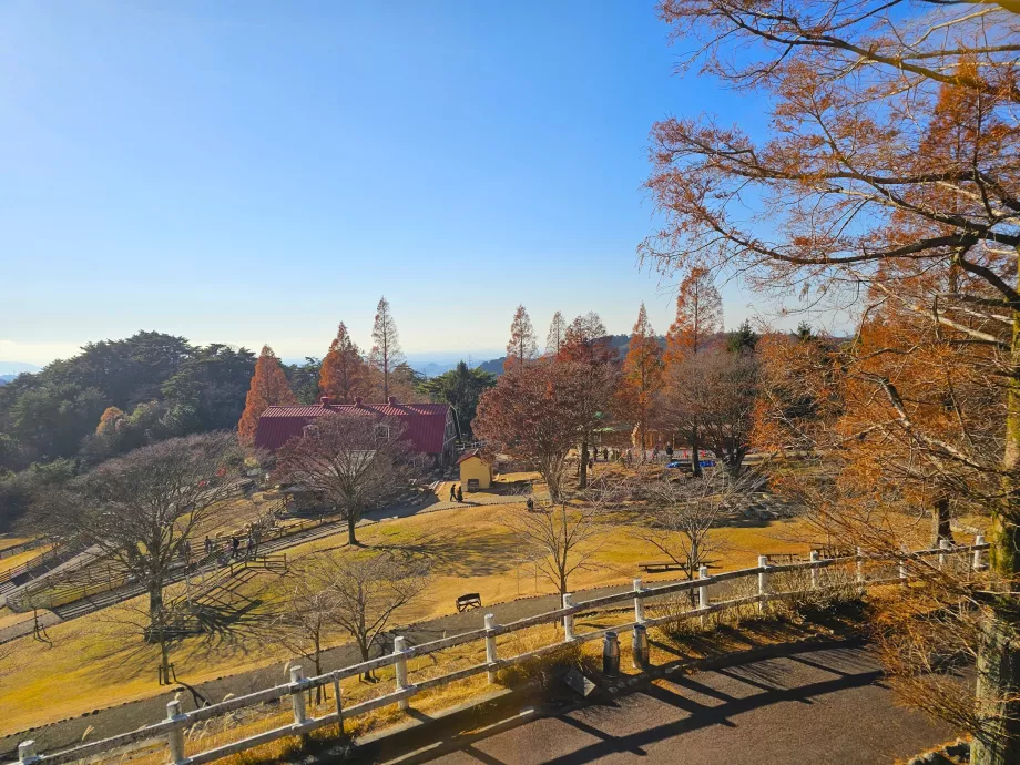 Пасовище Роккосан
