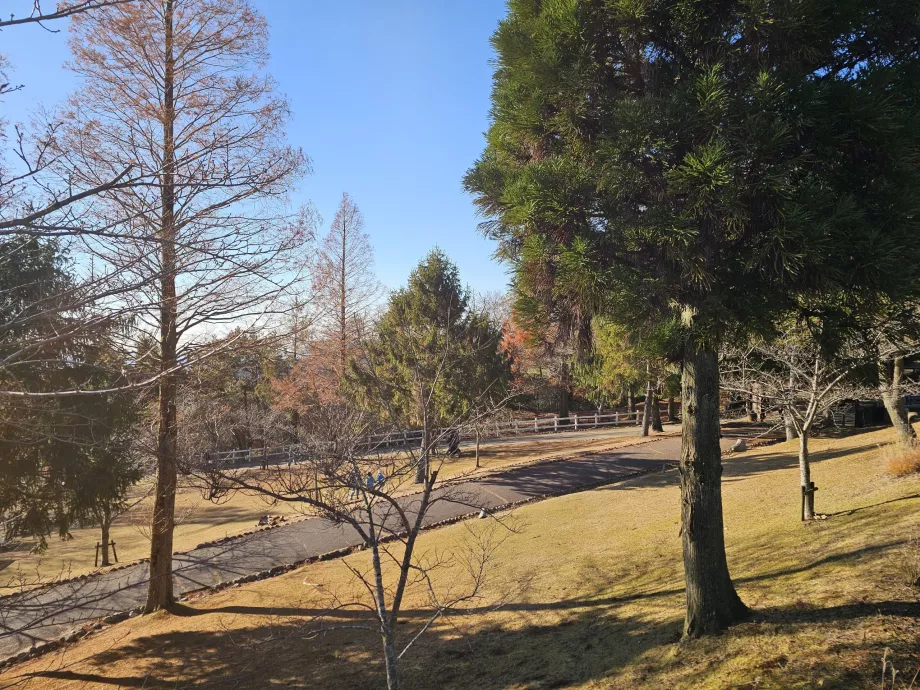 Пасовище Роккосан