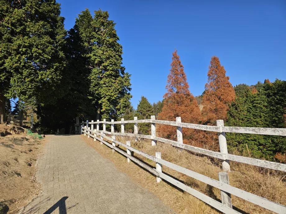 Пасовище Роккосан