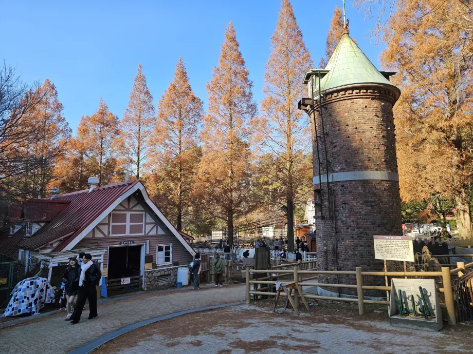 Пасовище Роккосан