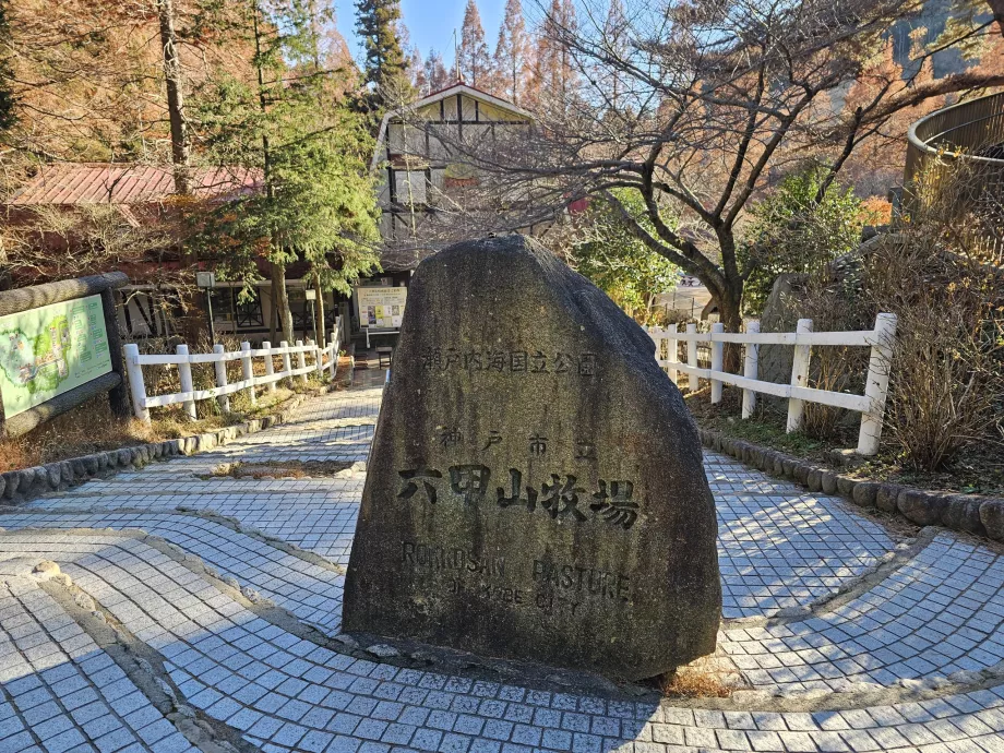 Пасовище Роккосан