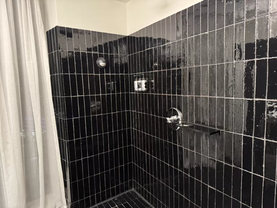 Тільки верхній душ