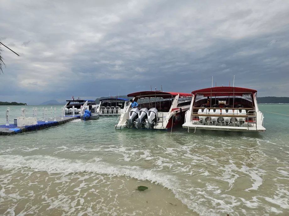 Туристичні човни на Свинячому острові